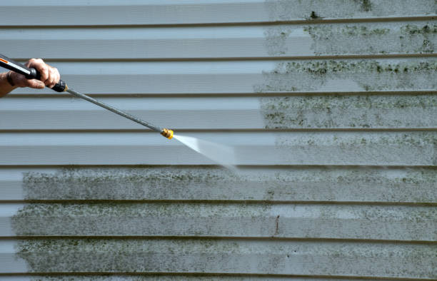 Best Deck Cleaning Services  in Atwood, IL