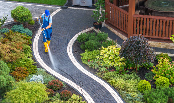 Best Sidewalk Pressure Washing  in Atwood, IL